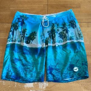 Hollister Men’s Swim Trunks